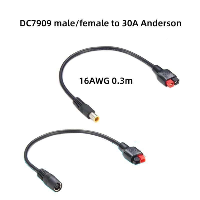 DC7909 macho e fêmea para 30A  - Outdoor Power Extension Cord avaliação e preço